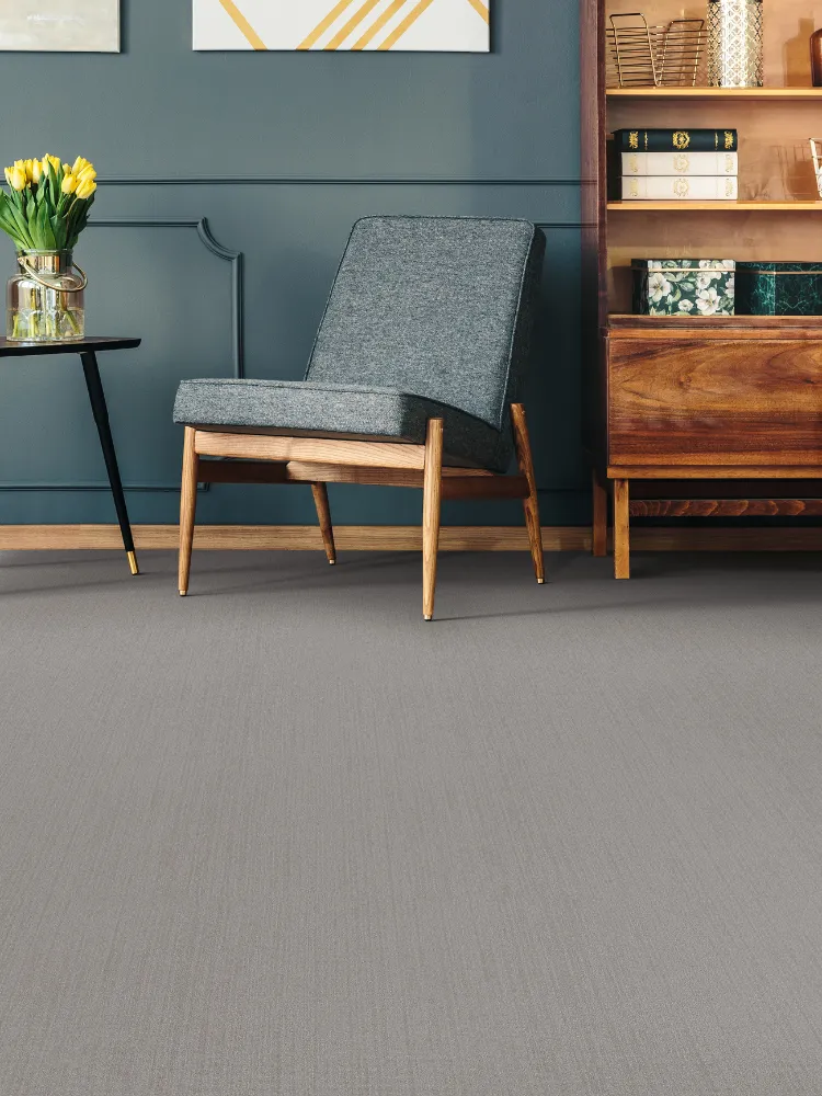 light tan carpet in sitting room